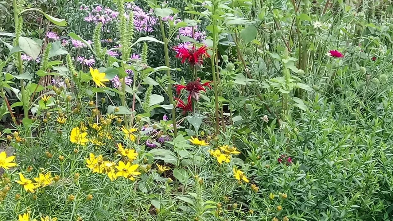 Ferienwohnung Waldblick Zweibrücken Esterno foto