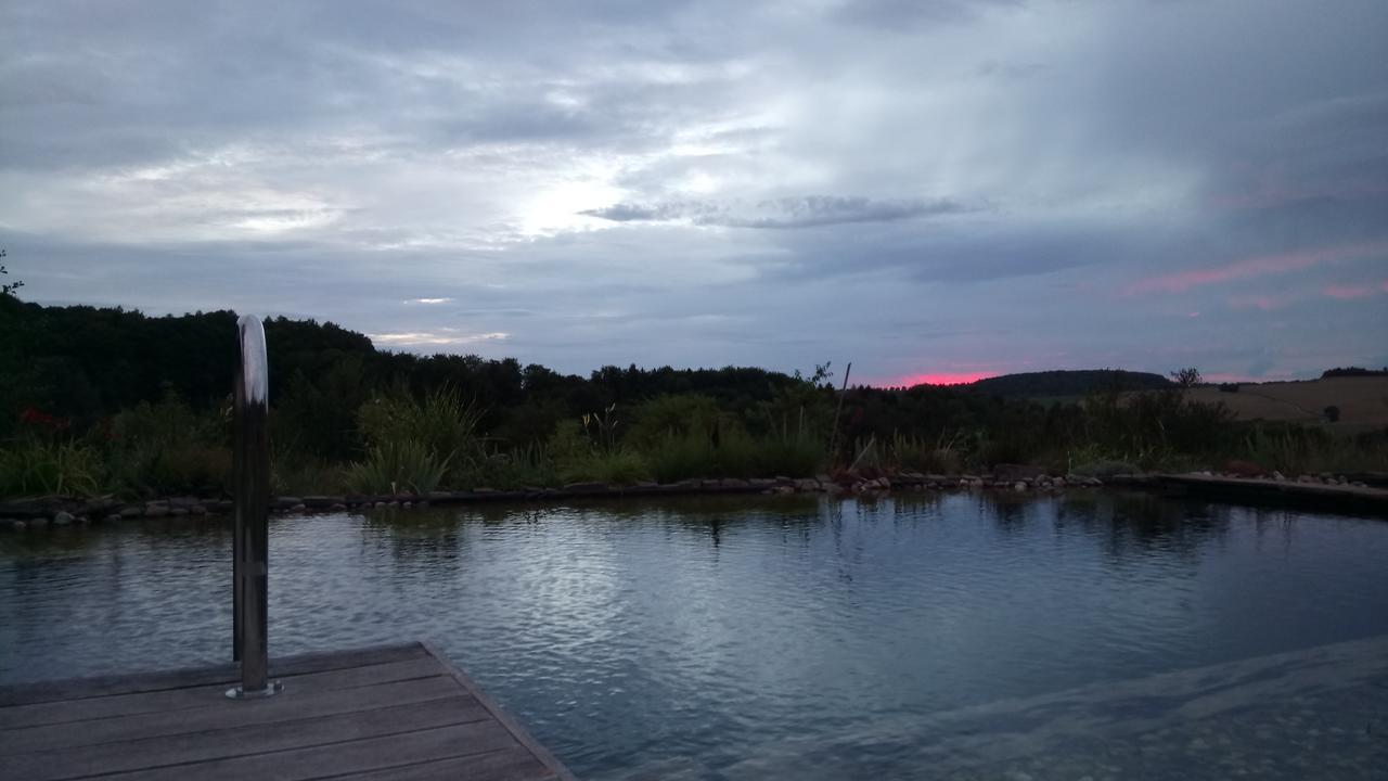 Ferienwohnung Waldblick Zweibrücken Esterno foto