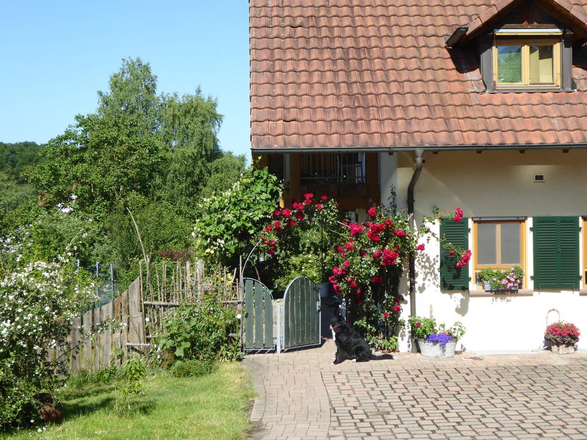 Ferienwohnung Waldblick Zweibrücken Esterno foto